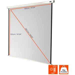 Produktbild für Beamer-Leinwand Celexon Rollo Economy