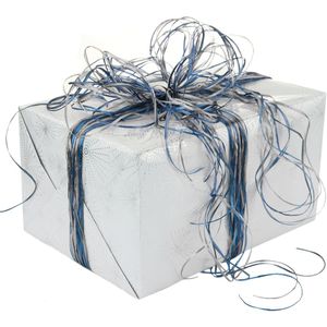 Produktbild für Geschenkband Präsent Raffia Multicolour, blau