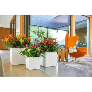 Produktbild für Übertopf Lechuza CUBE 40, weiß hochglanz, 39 x 40 x 39 cm