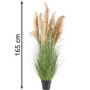 Produktbild für Kunstpflanze Creativ-green Natur-Schilfgras