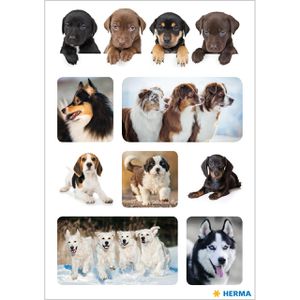 Produktbild für Sticker Herma Decor, 15622