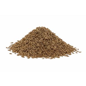 Produktbild für Kümmel Azafran Premium Qualität, ganze Samen, BIO