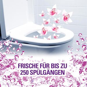 Produktbild für WC-Duftspüler Cillit-Bang 6 in 1, Wilde Orchidee