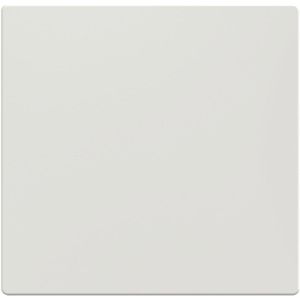 Schalter-Wippe Merten 432119 System M