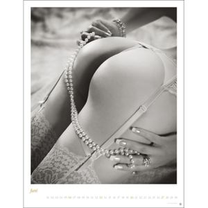 Produktbild für Erotikkalender Heye 22467, Backside, Jahr 2027