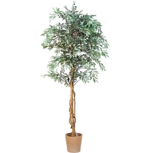 PLANTASIA Kunstbaum Höhe 180 cm, Olivenbaum, mit Echtholzstamm