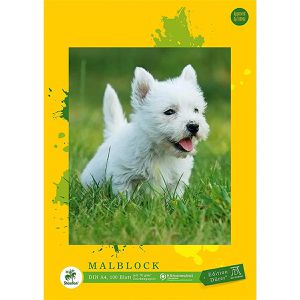 Produktbild für Zeichenblock Staufen Edition Dürer Malblock, A4
