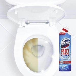 Produktbild für WC-Reiniger Domestos Kraft &amp; Frische Ocean Fresh, Gel