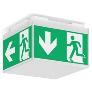 Produktbild für Notbeleuchtung RZB SIGNCUBE mini, Fluchtwegleuchte, LED, Akku