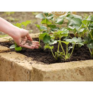 Produktbild für Dünger Substral Naturen Bio Gartendünger