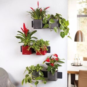 Produktbild für Übertopf Lechuza Green Wall Home Kit Glossy, rot, 14x14x14cm