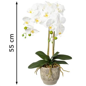Creativ-green Kunstblume Orchidee, Phalaenopsis, weiß, im Keramik-Topf, Höhe  55 cm – Böttcher AG