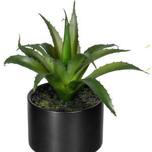 Produktbild für Kunstpflanze Creativ-green Sukkulenten-Mix