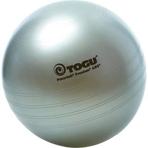 Produktbild für Gymnastikball Togu Powerball Premium ABS