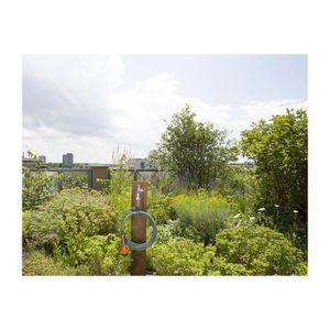 Produktbild für Spiralschlauch Gardena city gardening, 18411-20