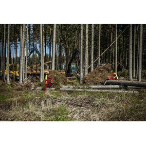 Produktbild für Forsthelm Protos Integral Forest F39, rot-gelb