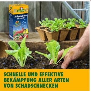 Produktbild für Schneckenkorn Etisso Schnecken-Linsen, regenfest