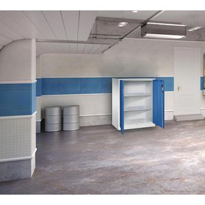Produktbild für Werkzeugschrank CP-Möbel 8521-000, aus Metall, grau / blau
