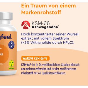Produktbild für Ashwagandha gloryfeel 210 Kapseln