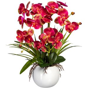 Produktbild für Kunstblume Creativ-green Orchidee, Phalaenopsis