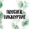 Zusatzbild Spülmittel NOW. by Palmolive Frischer Eukalyptus
