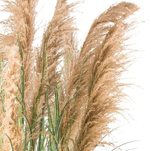 Produktbild für Kunstpflanze Creativ-green Natur-Schilfgras