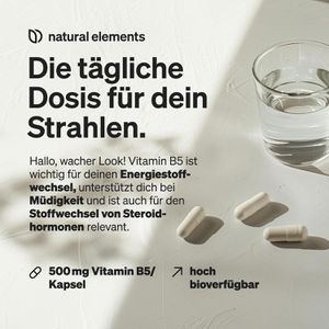 Produktbild für Vitamin-B natural-elements Pantothensäure, 240 Kapseln