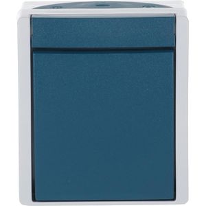 Produktbild für Lichtschalter Busch-Jaeger Ocean 2601/6 W-53, grau / blaugrün