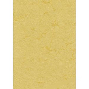 Zanders Briefpapier 88001577, chamois, A4, Elefantenhaut, 110 g/m², 100 Blatt