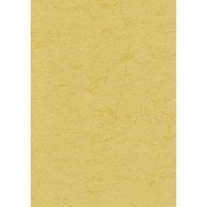 Briefpapier Römerturm 88001577, chamois, A4