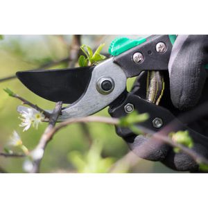 Produktbild für Gartenschere Meister WU9719300 Kunststoff, Bypass