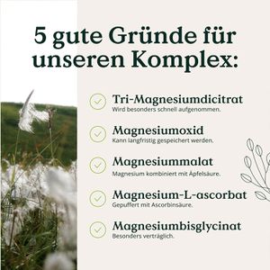 Produktbild für Magnesium Nature-Love Komplex, 90 Kapseln