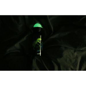 Produktbild für Trinkflasche SIGG KBT Glow In The Dark, Dinosaurs