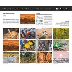 Produktbild für Bildkalender Palazzi Hautnah Afrikas Wildnis, 2026