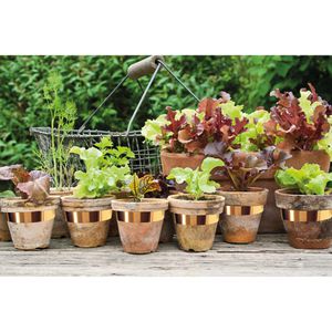 Produktbild für Schneckenzaun Swissinno 1 261 001, 5 m, erweiterbar