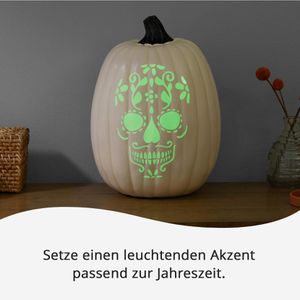 Produktbild für Vinylfolie Cricut 2009582 Glow in the Dark