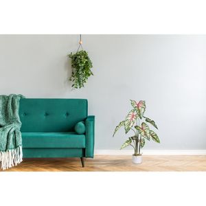 Produktbild für Kunstpflanze Creativ-green Syngonium