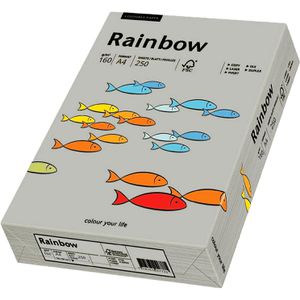 Produktbild für Kopierpapier Papyrus Rainbow 88042813