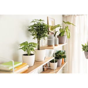 Produktbild für Übertopf Lechuza-DECO 35, weiß, Ø 35 x 33 cm