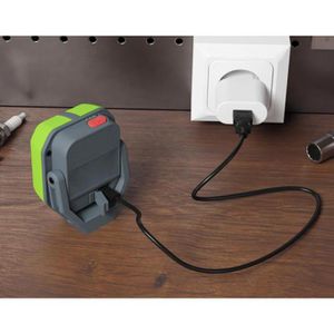 Produktbild für Arbeitsleuchte Philips Xperion 3000 Flood Mini, LED