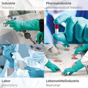 Produktbild für Chemikalienschutzhandschuhe Franz-Mensch Hygostar