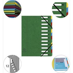 Produktbild für Ordnungsmappe Exacompta 55123E Harmonika, A4