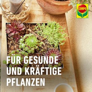 Produktbild für Blumenerde Compo CACTEA Kakteen- &amp; Sukkulentenerde