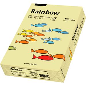 Produktbild für Kopierpapier Papyrus Rainbow 88376505