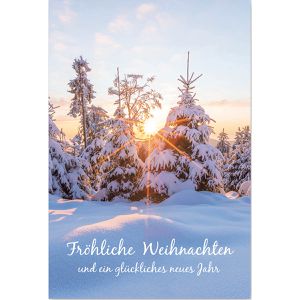Produktbild für Weihnachtskarte Böttcher-AG Winterlandschaft