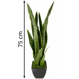Produktbild für Kunstpflanze I.GE.A. Sansevieria