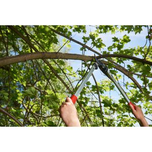 Produktbild für Astschere FELCO 211-50
