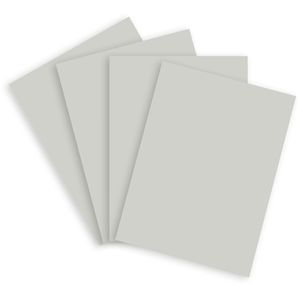 Produktbild für Kopierpapier Papyrus Rainbow 88042811