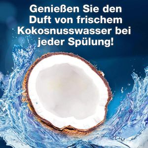 WC-Frisch WC-Duftspüler Kraft Aktiv Coconut Water, im Korb – Böttcher AG