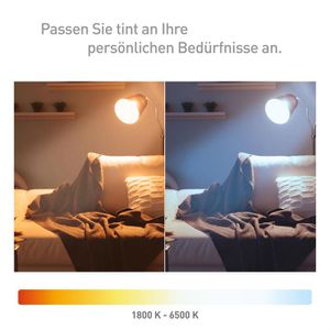 Produktbild für LED-Lampe tint Filament Globe, E27